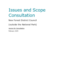 Issues and Scope Consultation thumbnail icon